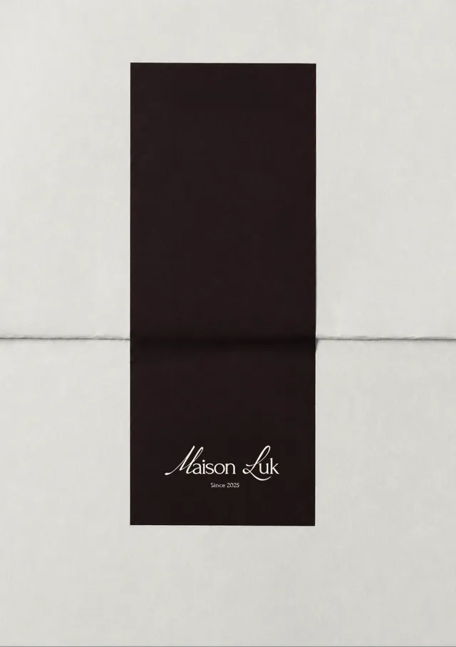 Maison Luk, image from the project